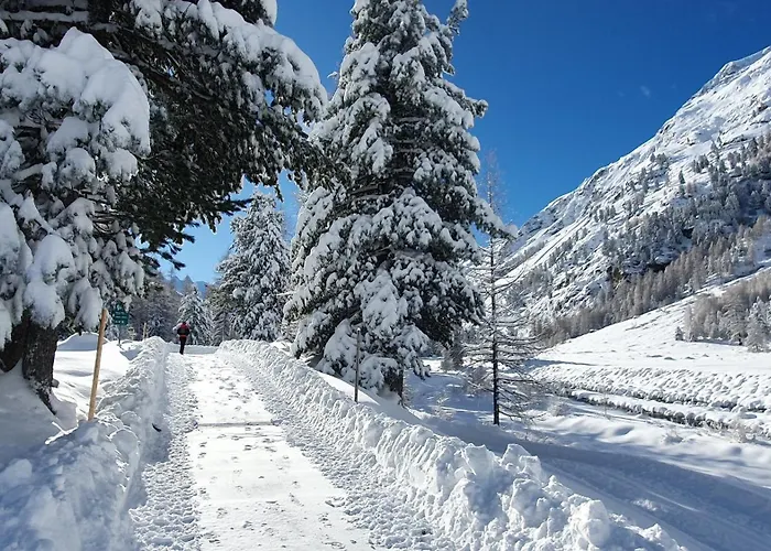 Chesa Chavriol - Celerina Daire